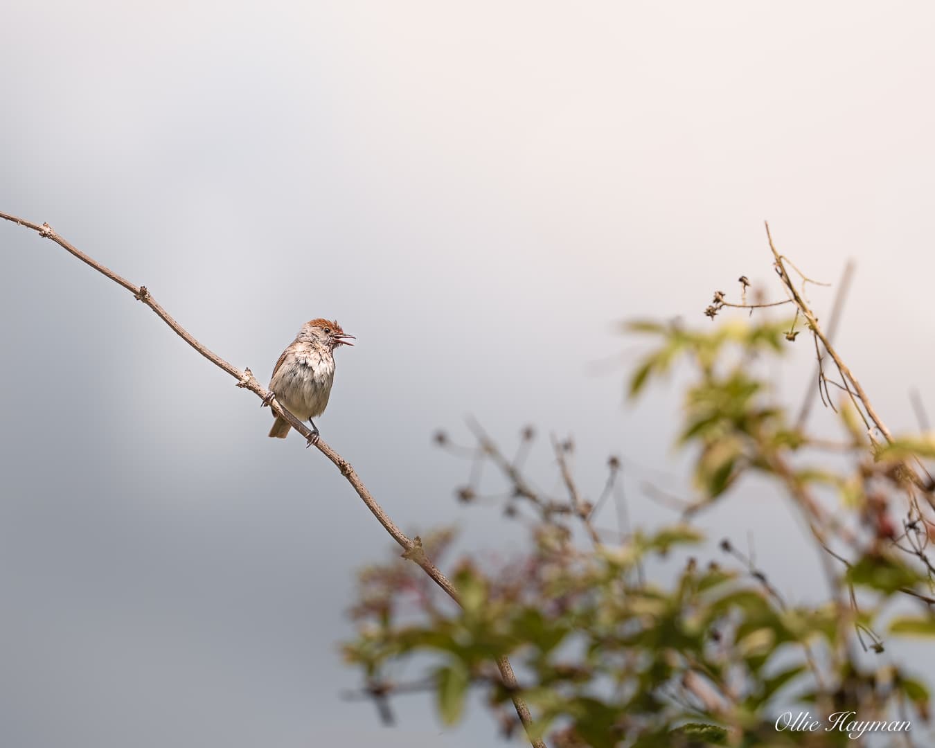 Photo taken by me
