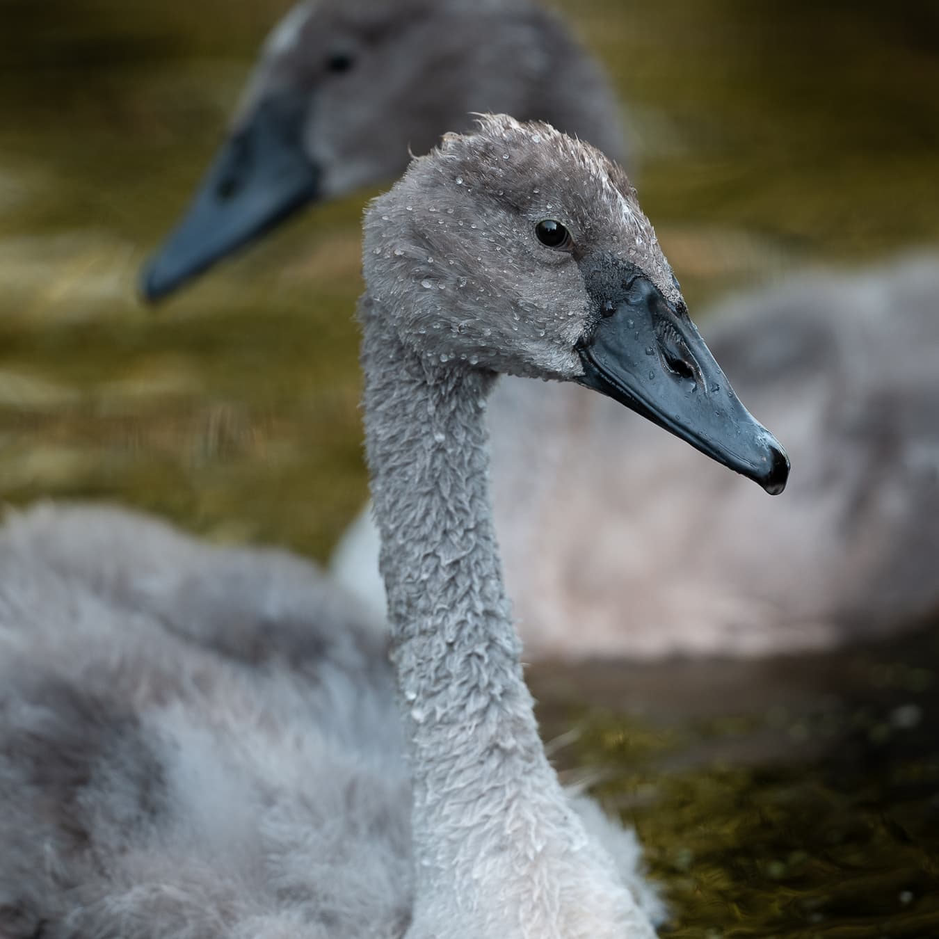 Photo taken by me