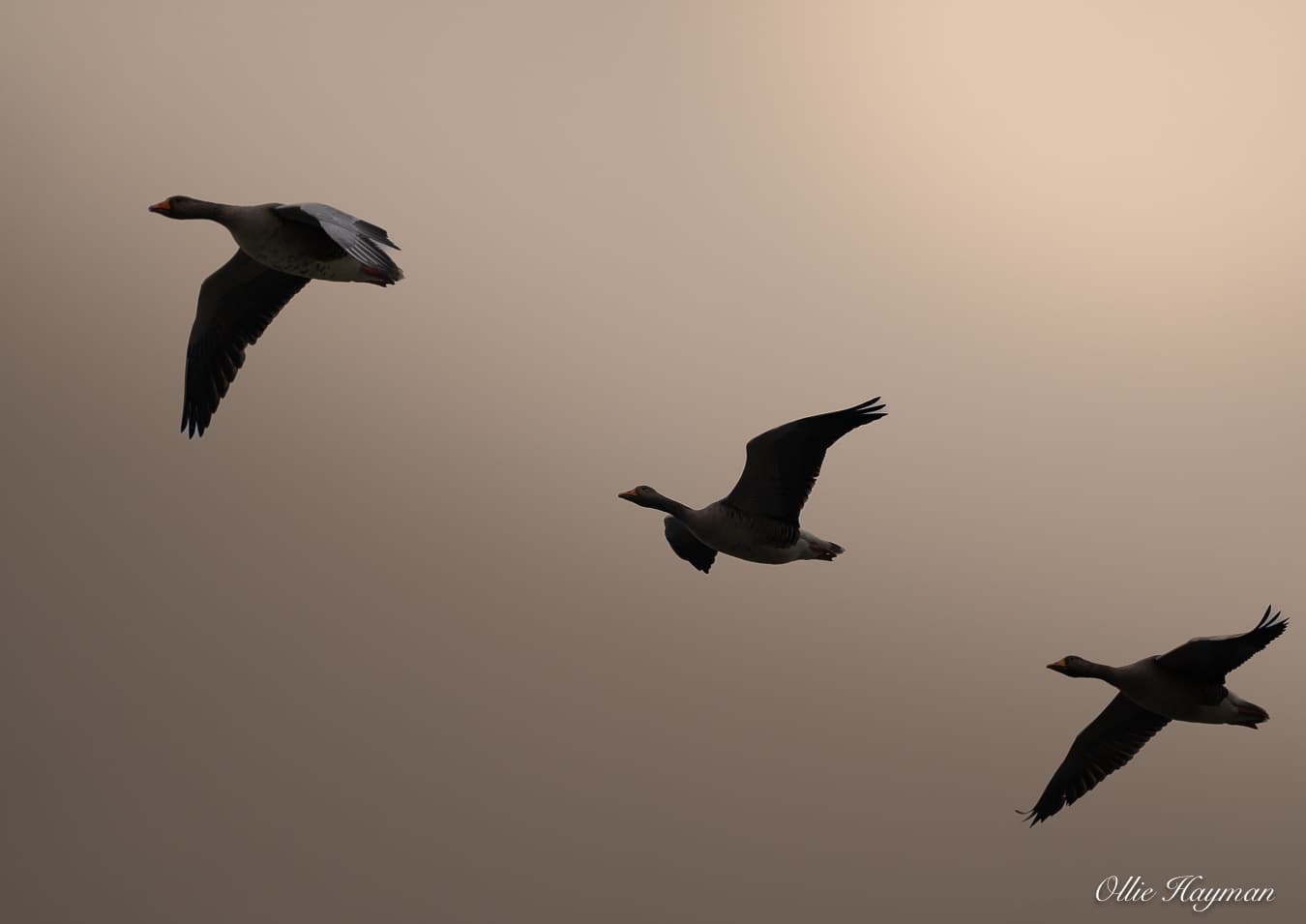 Photo taken by me