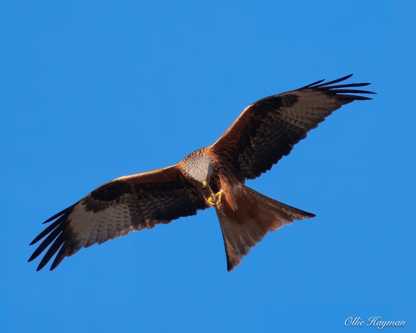 Photo taken by me