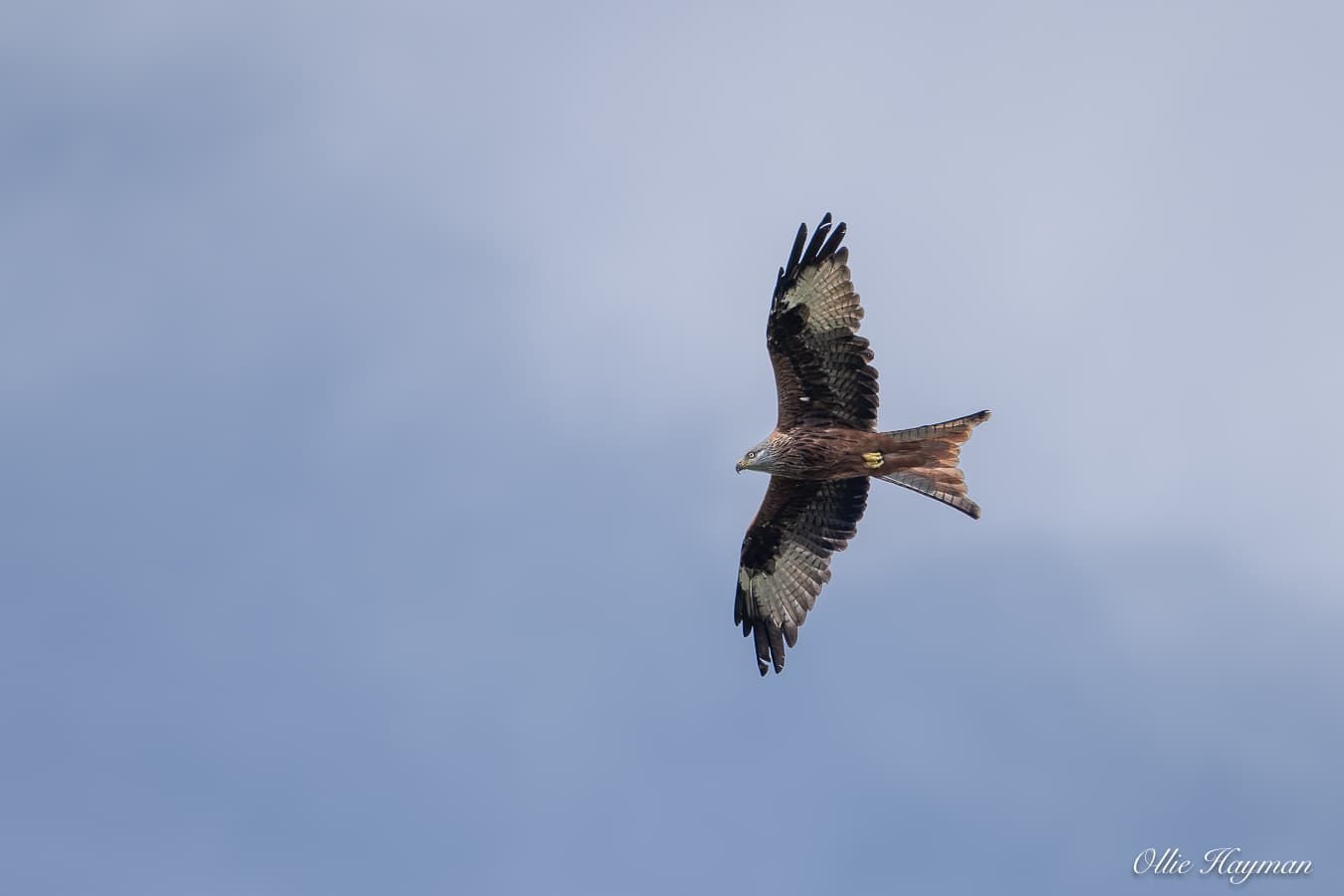Photo taken by me